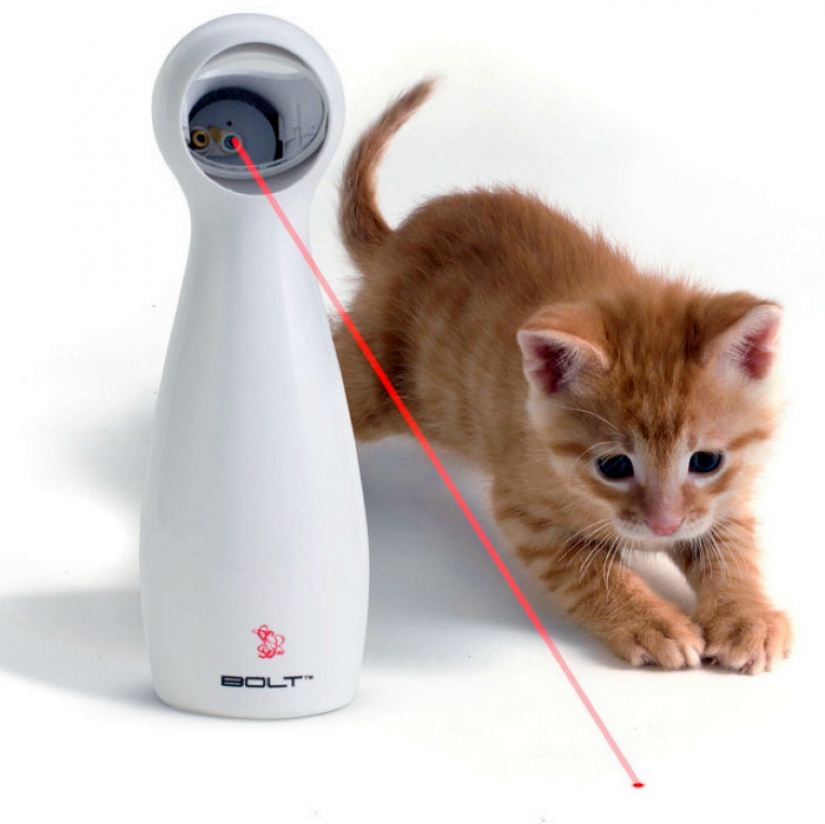 17 gadgets for the home that has a cat 17 gadgets for the home that has a cat