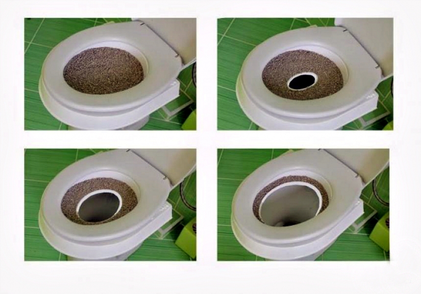 17 gadgets for the home that has a cat 17 gadgets for the home that has a cat