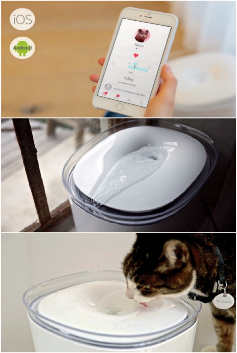 17 gadgets para el hogar que tiene un gato 17 gadgets para el hogar que tiene un gato
