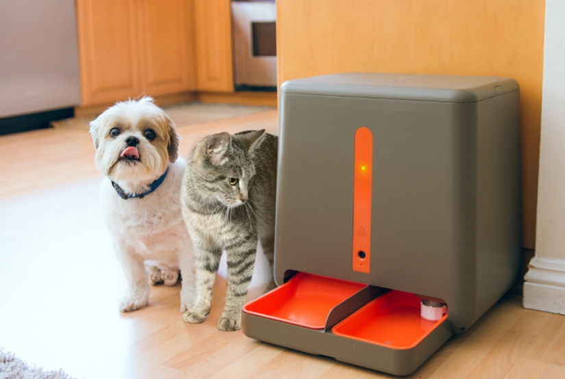 17 gadgets para el hogar que tiene un gato 17 gadgets para el hogar que tiene un gato