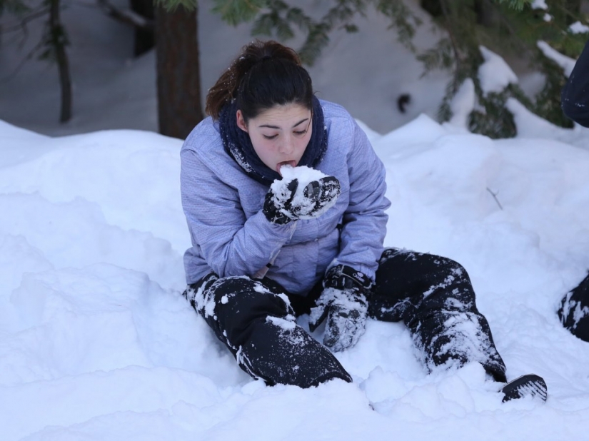 17 reglas que va a salvar su vida 17 reglas que va a salvar su vida