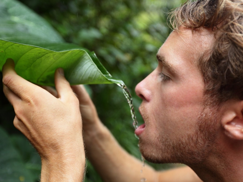 17 reglas que va a salvar su vida 17 reglas que va a salvar su vida