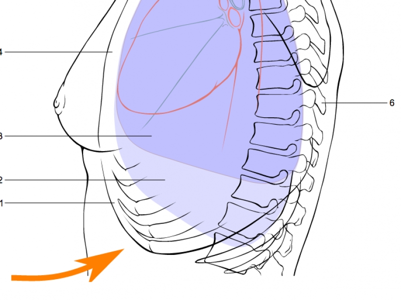 17 rules that will save your life