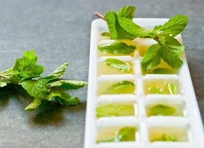 18 cool ways to use ice cube trays