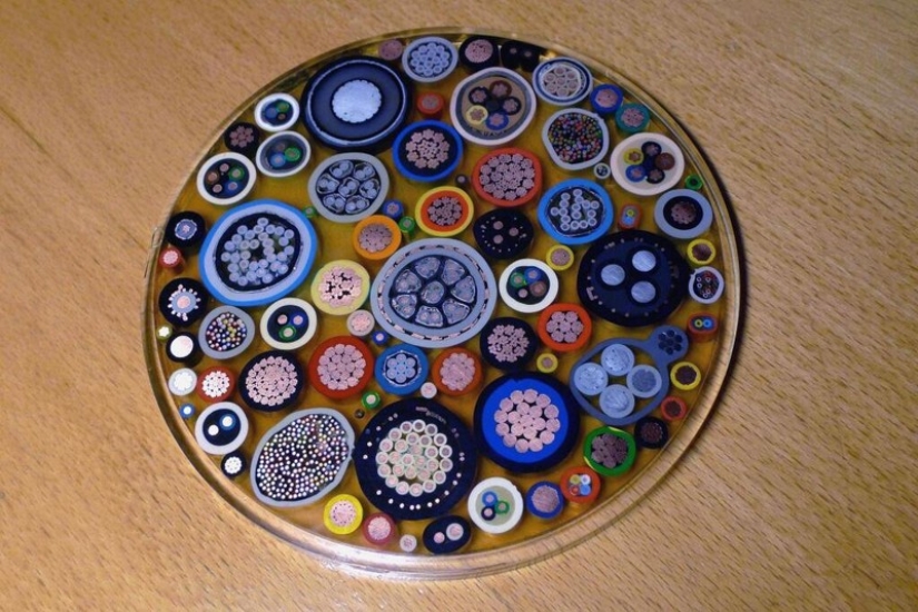 18 cosas cortadas por la mitad