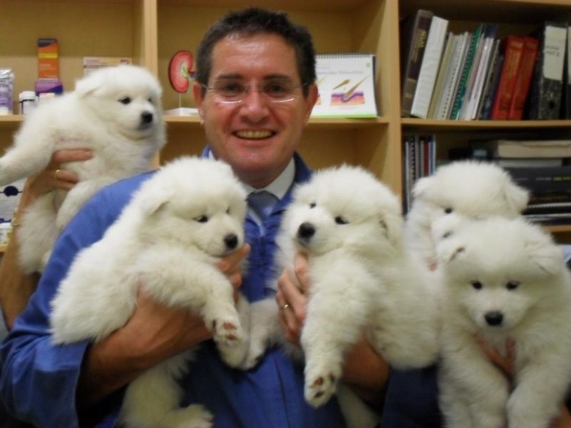 18 evidence that the veterinarian is sick profession