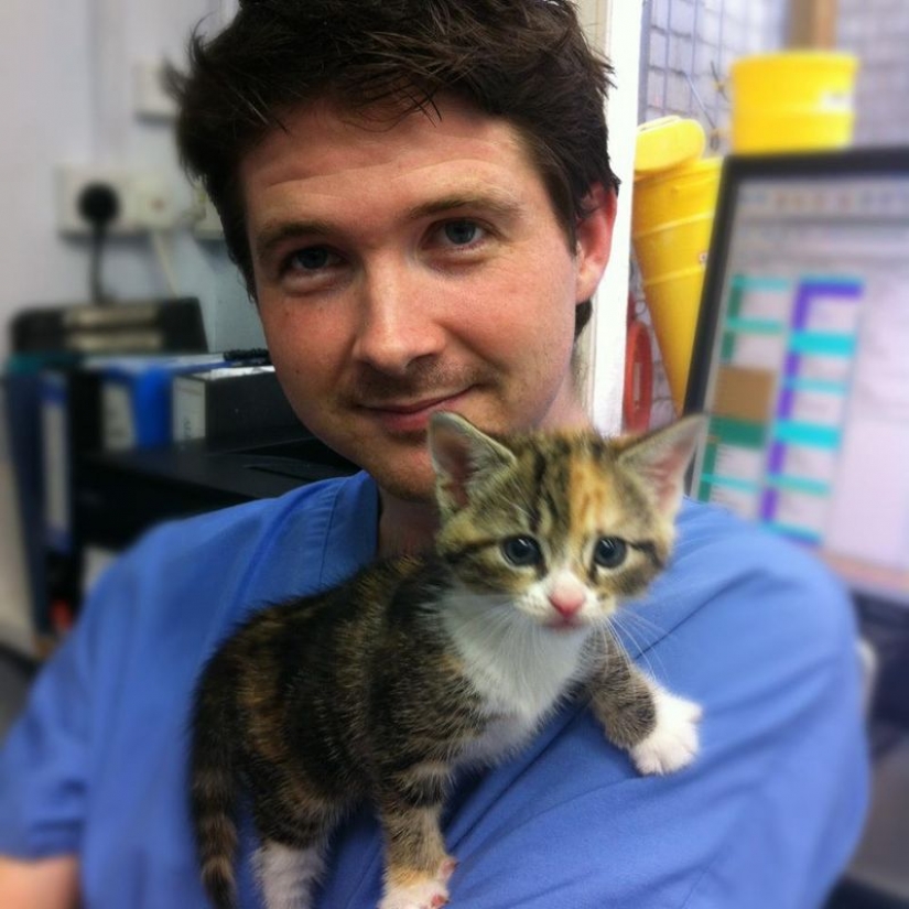 18 evidence that the veterinarian is sick profession