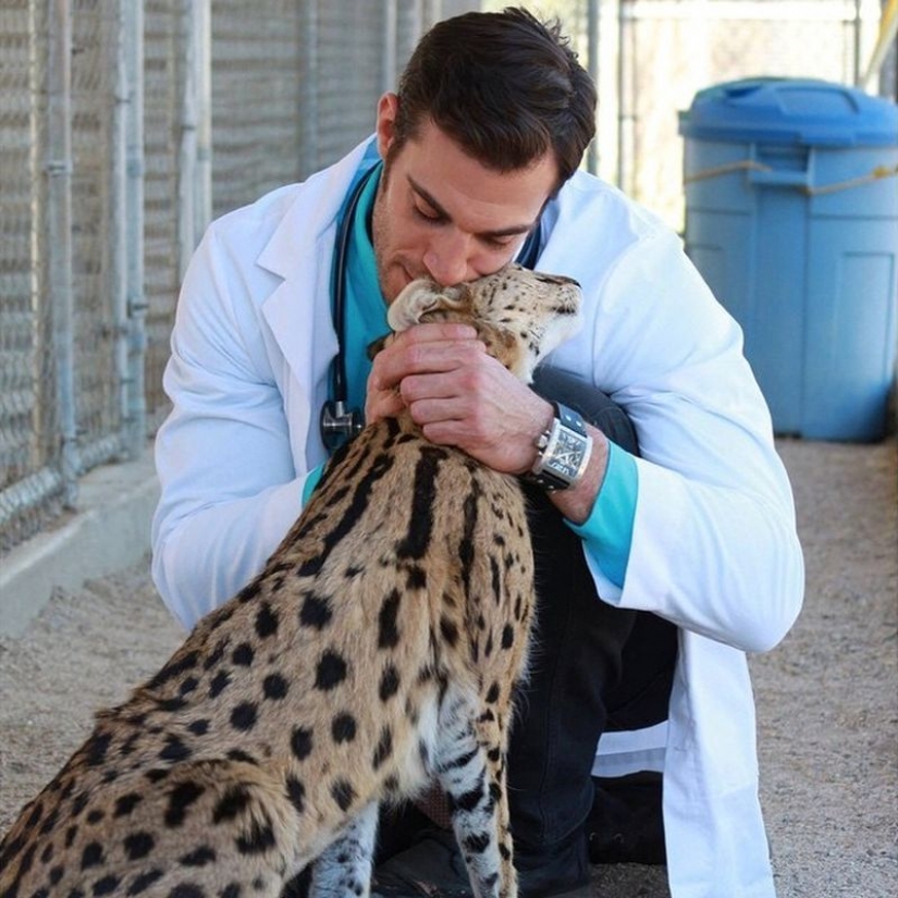 18 evidence that the veterinarian is sick profession