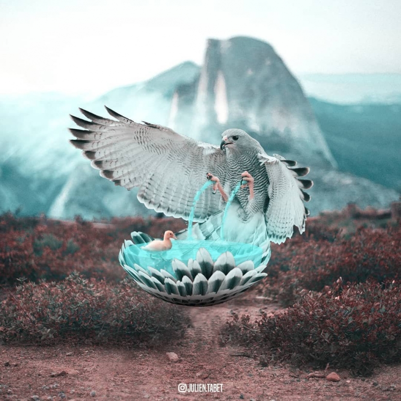 18 fantastic creatures French digital artist Julien Taba 18 fantastic creatures French digital artist Julien Taba