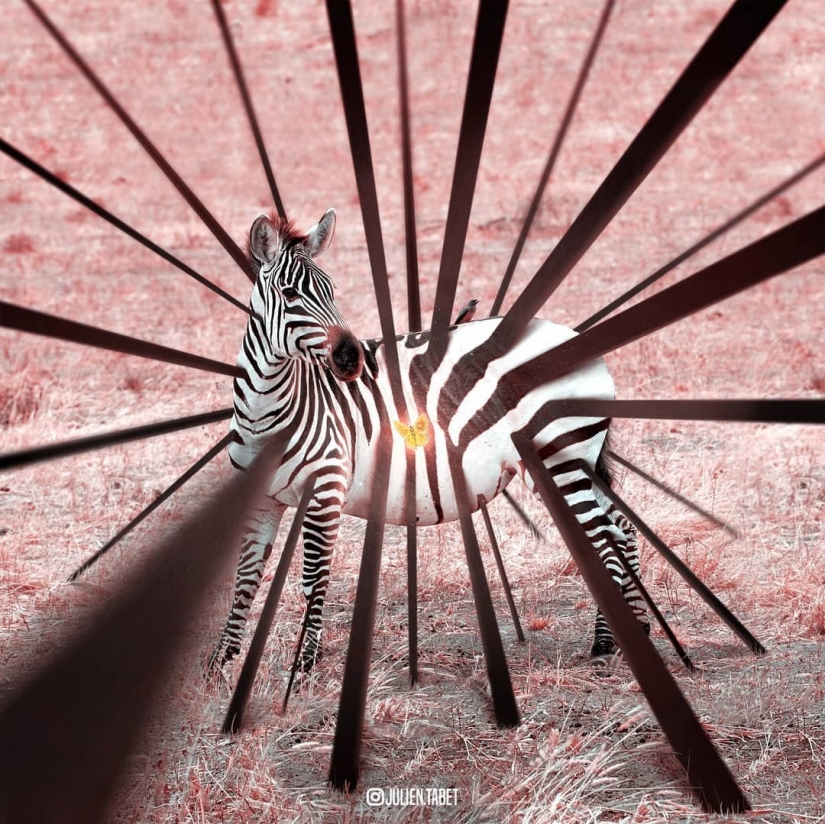 18 fantastic creatures French digital artist Julien Taba 18 fantastic creatures French digital artist Julien Taba