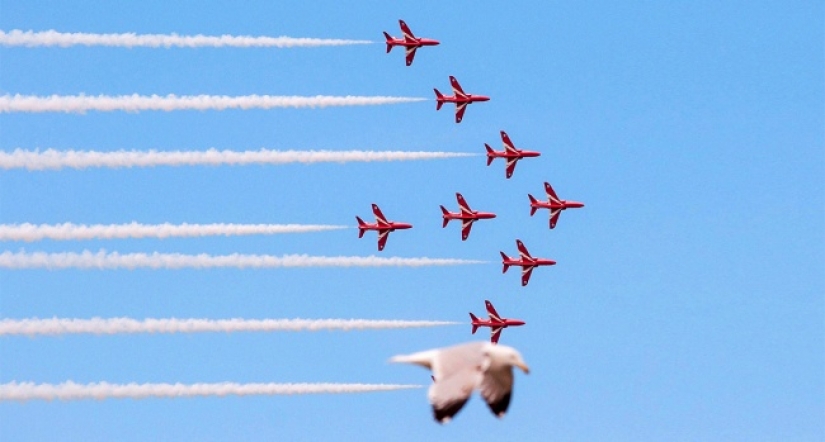 18 fotos tomadas en el momento justo 18 fotos tomadas en el momento justo