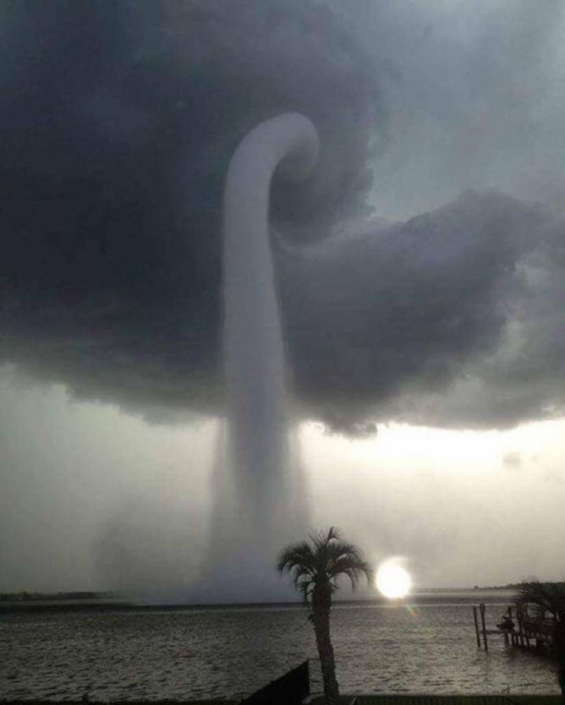 18 fotos tomadas en el momento justo 18 fotos tomadas en el momento justo