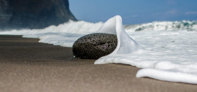 18 photos taken at just the right moment