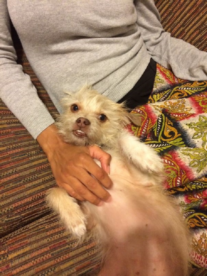 20 bellies that need to scratch