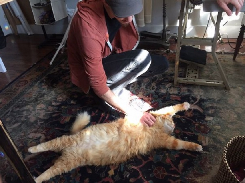 20 bellies that need to scratch