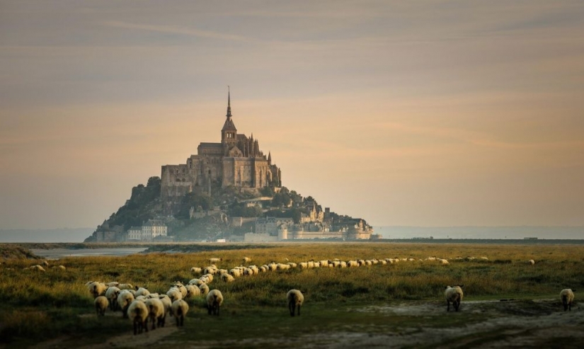 20 coolest castles in which one wants to stay and live