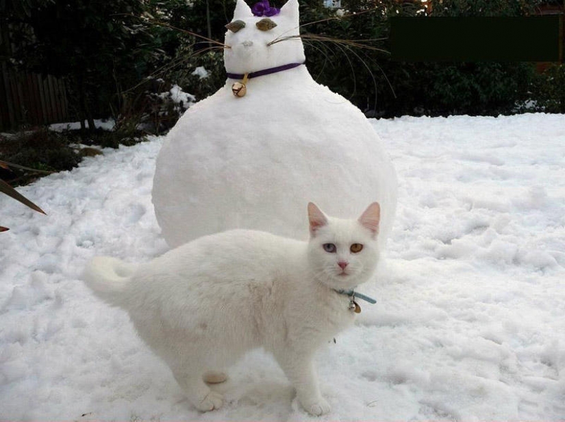 20 examples of what else besides snowman, you can sculpt out of snow