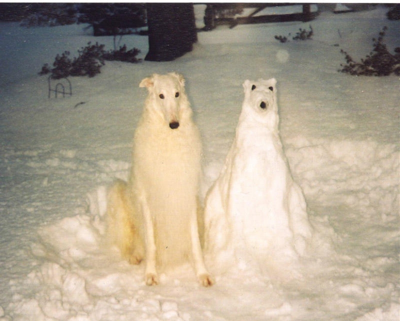 20 examples of what else besides snowman, you can sculpt out of snow