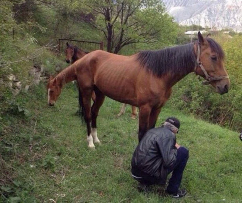 20 fotos, que hay que mirar de cerca