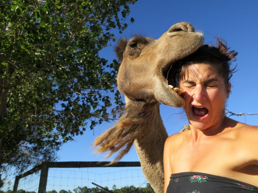 20 fotos tomadas un segundo antes de que la inevitable