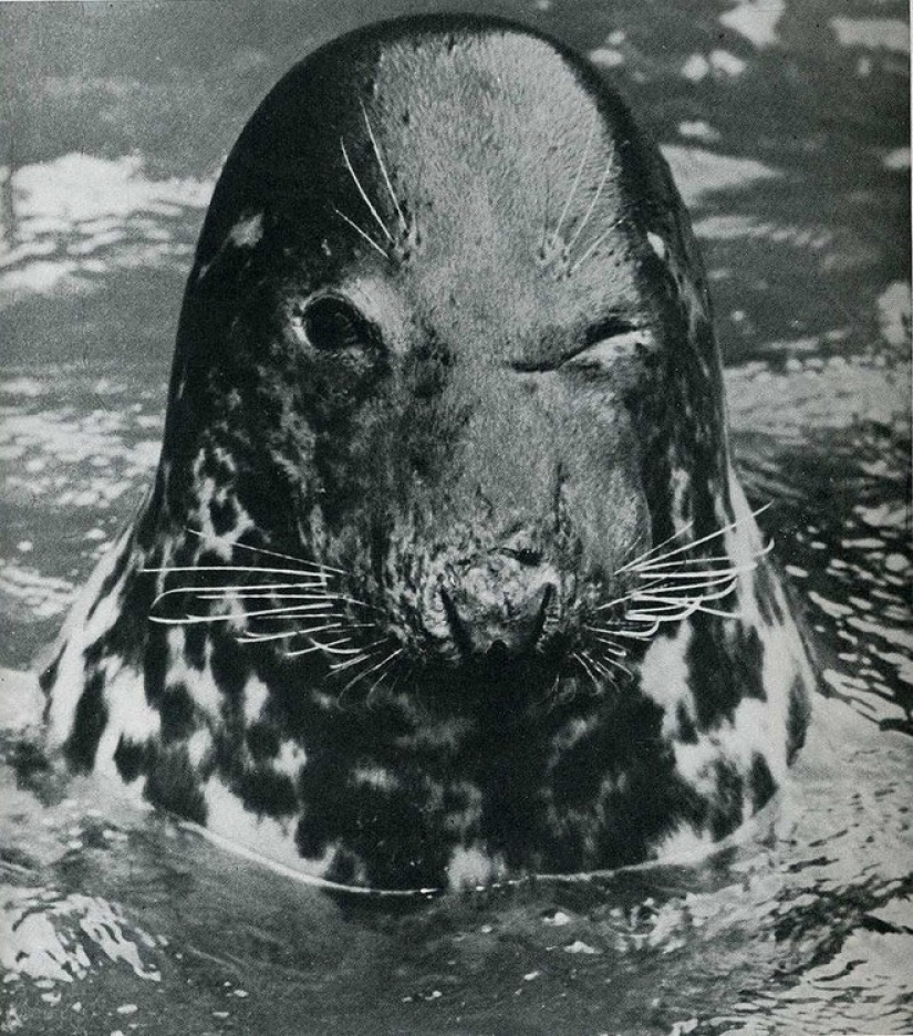 20 historical frames caught at the right moment