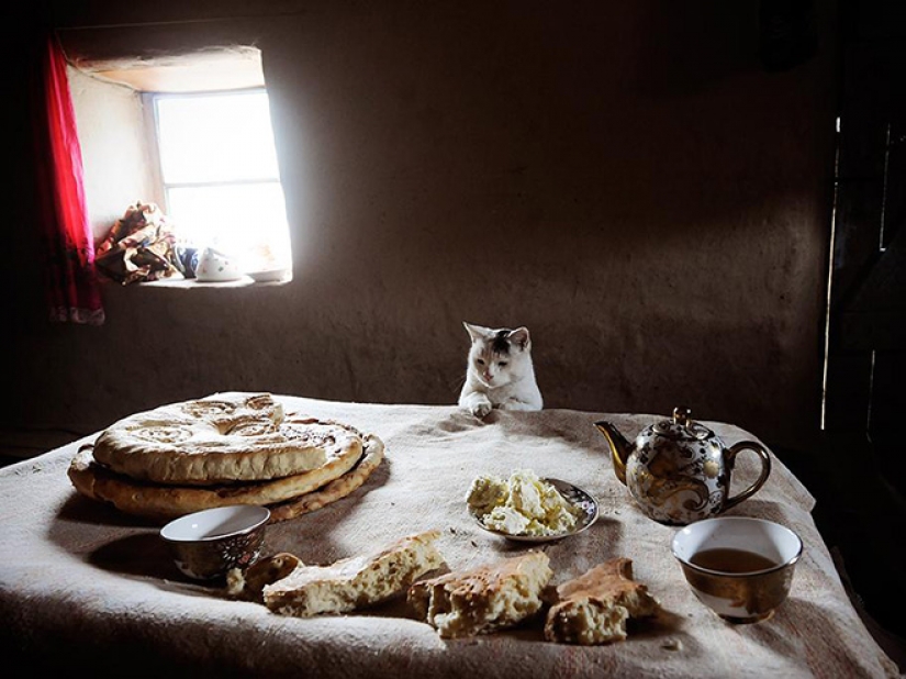 20 household plots, as if copied from paintings of the Renaissance 20 household plots, as if copied from paintings of the Renaissance