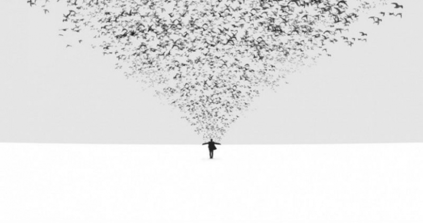 20 imágenes, que no hay nada superfluo 20 imágenes, que no hay nada superfluo