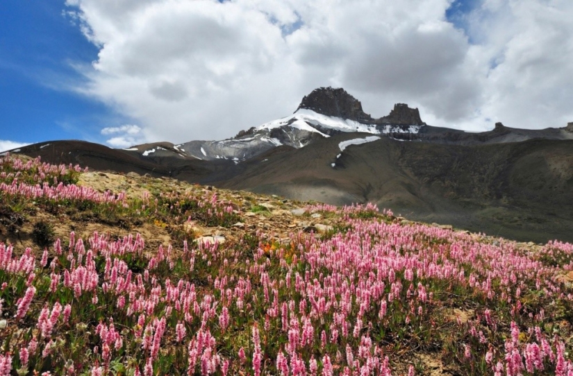 20 lugares en donde el mundo está gobernado por el color