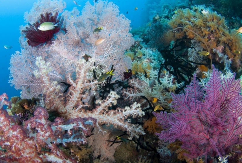 20 lugares en donde el mundo está gobernado por el color