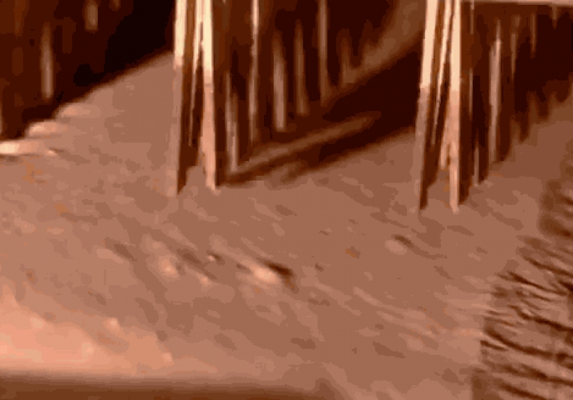 20 now repetitive and boring hypnotizing gifs about the production process 20 now repetitive and boring hypnotizing gifs about the production process