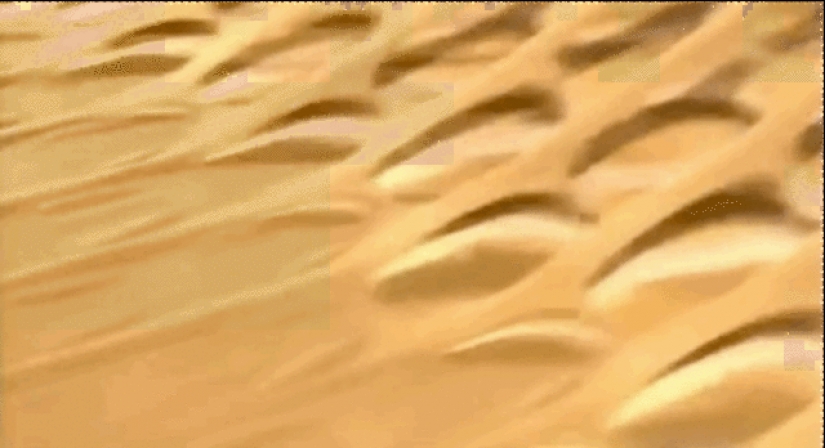 20 now repetitive and boring hypnotizing gifs about the production process 20 now repetitive and boring hypnotizing gifs about the production process