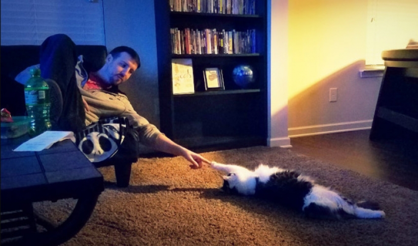 20 parcelas familiares, como si se copia de las pinturas del Renacimiento 20 parcelas familiares, como si se copia de las pinturas del Renacimiento