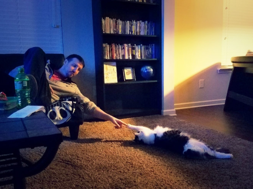 20 parcelas familiares, como si se copia de las pinturas del Renacimiento 20 parcelas familiares, como si se copia de las pinturas del Renacimiento