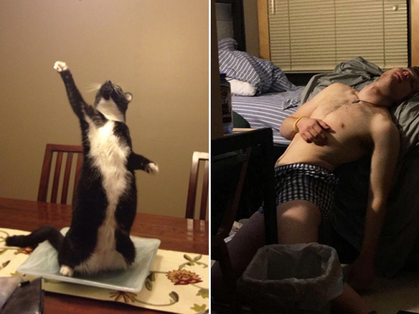 20 parcelas familiares, como si se copia de las pinturas del Renacimiento 20 parcelas familiares, como si se copia de las pinturas del Renacimiento