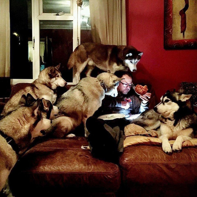 20 parcelas familiares, como si se copia de las pinturas del Renacimiento 20 parcelas familiares, como si se copia de las pinturas del Renacimiento