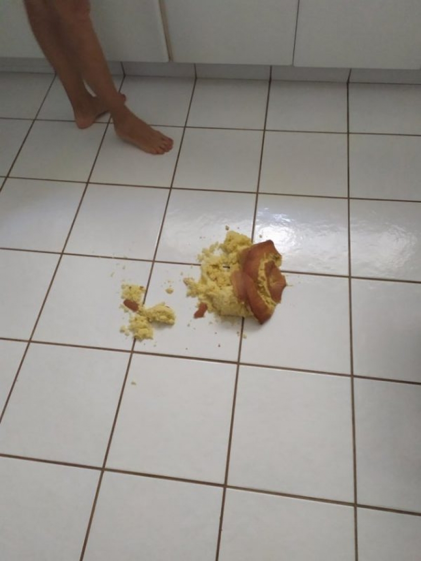 20 people shared their biggest fails on quarantine 20 people shared their biggest fails on quarantine