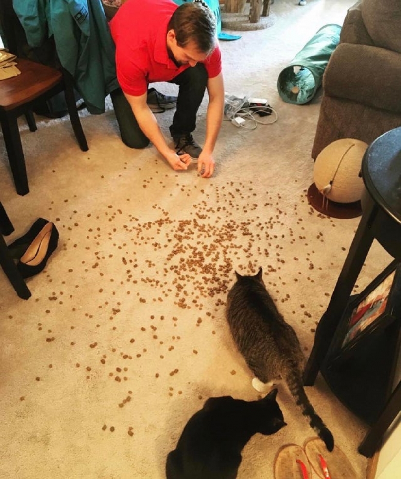 20 people shared their biggest fails on quarantine 20 people shared their biggest fails on quarantine