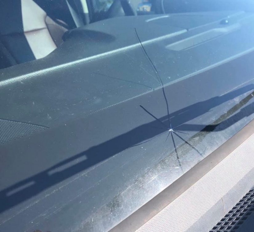 20 personas compartieron su mayor falla en cuarentena 20 personas compartieron su mayor falla en cuarentena