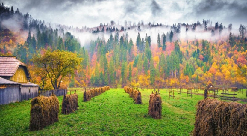 20 photos fall fantastic 20 photos fall fantastic