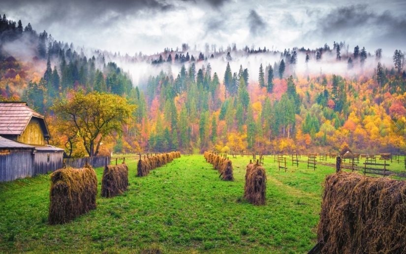 20 photos fall fantastic 20 photos fall fantastic