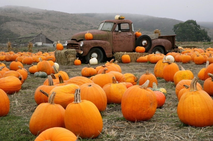 20 photos fall fantastic 20 photos fall fantastic