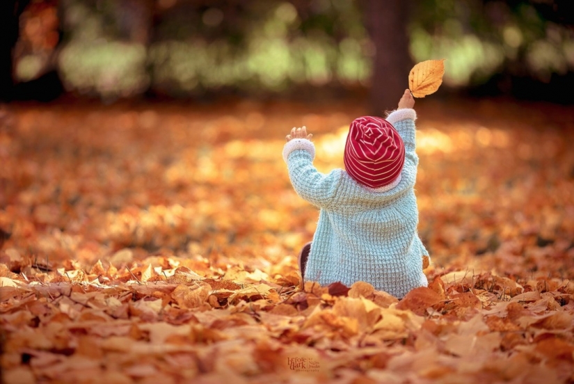 20 photos fall fantastic 20 photos fall fantastic