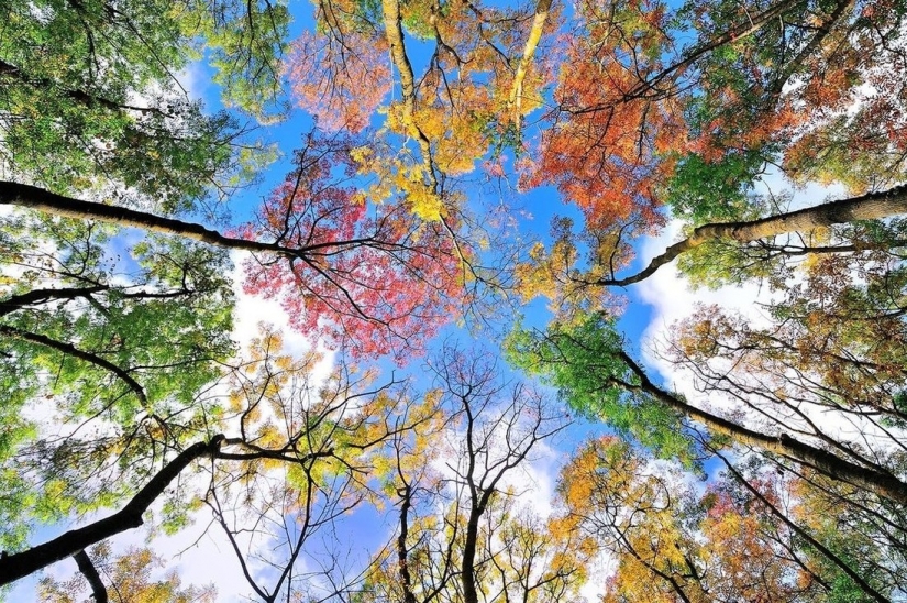 20 photos fall fantastic 20 photos fall fantastic