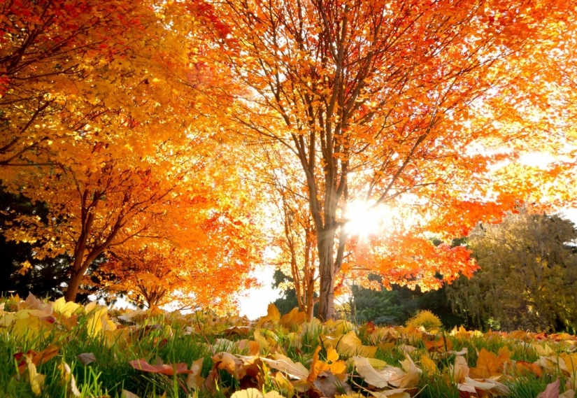 20 photos fall fantastic 20 photos fall fantastic