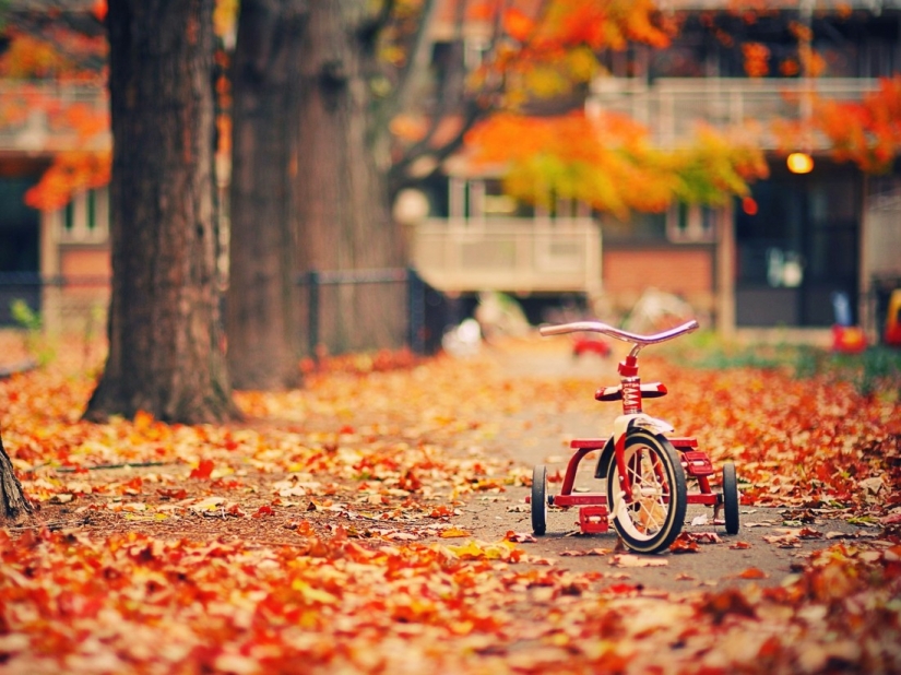 20 photos fall fantastic 20 photos fall fantastic
