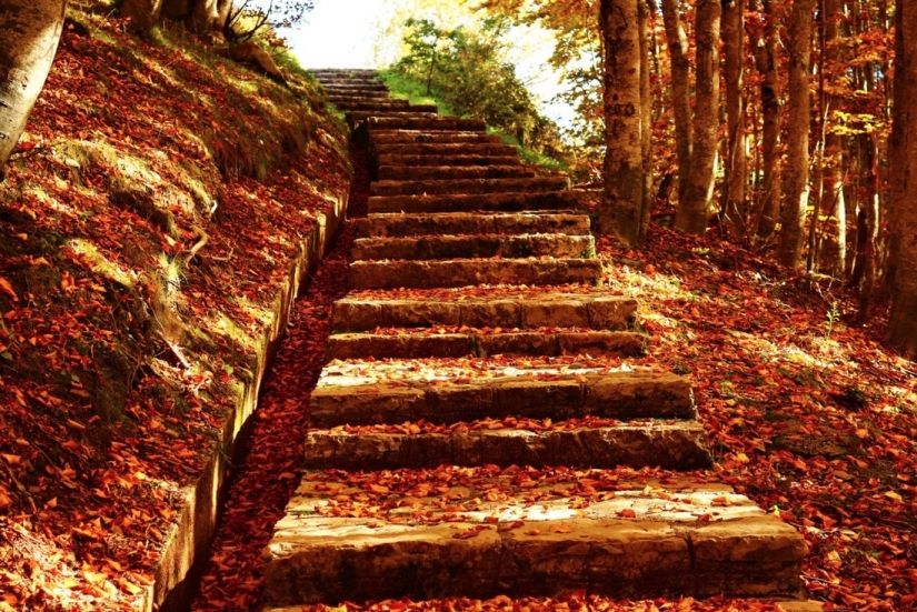 20 photos fall fantastic 20 photos fall fantastic