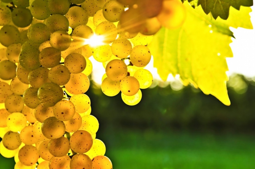 20 photos fall fantastic 20 photos fall fantastic