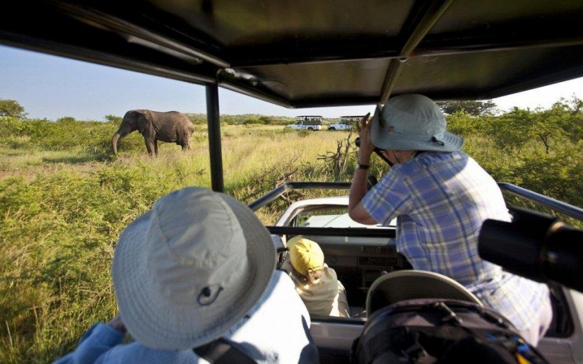 20 places where rare animals