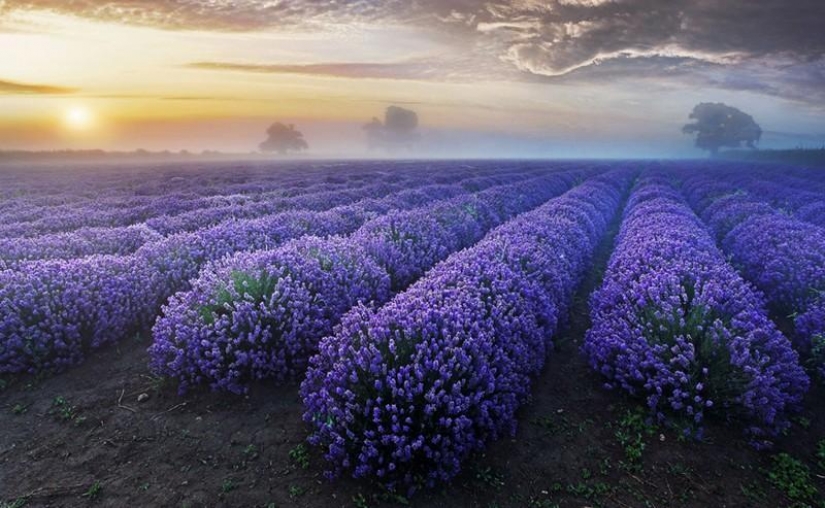 20 places where we are not