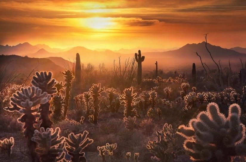 20 places where we are not